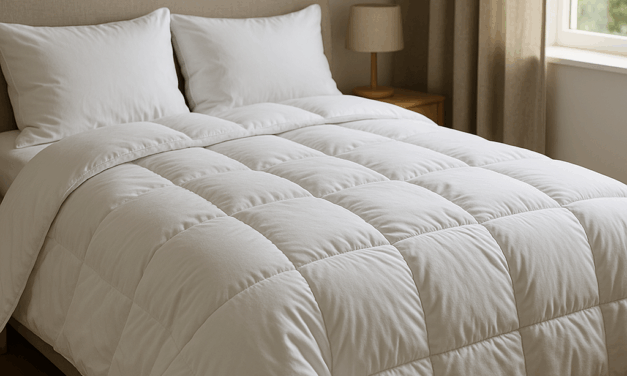 Fördelarna med att Investera i ett Dubbeltäcke